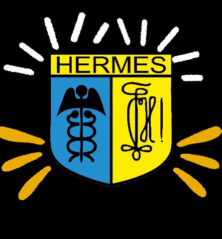 Hermes Gent 